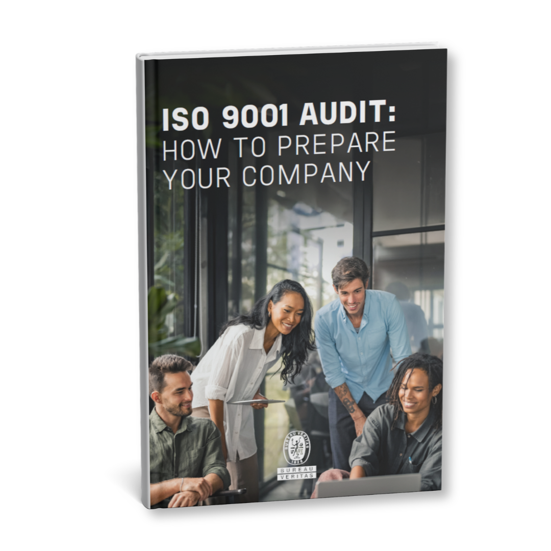 ISO 9001 mock up