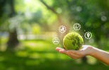 hand holding green earth c Adobe stock