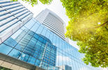 EMEA Executive Survey Cover Pic