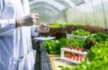 Cover Pic for Food Testing Press Release