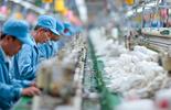 Modern Slavery Legislation Update – Australia & New Zealand cover