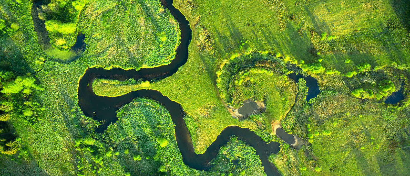 Sustainability Trends Report 2026 cover