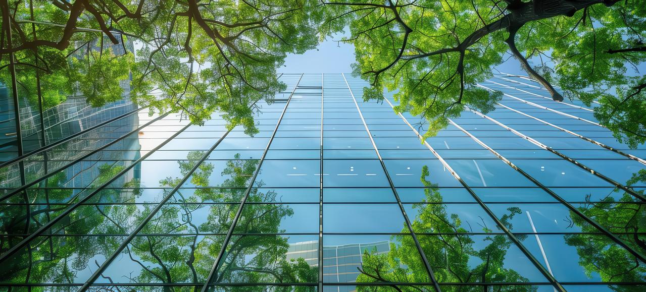 BV + Naturaliste Image Cover