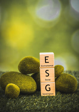 Sustainability Cover