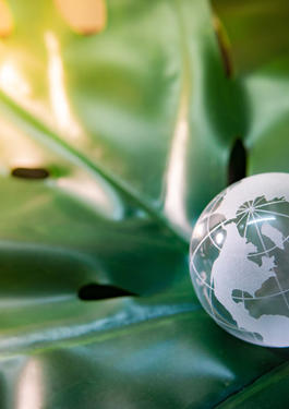 Sustainability Reporting