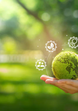 hand holding green earth c Adobe stock