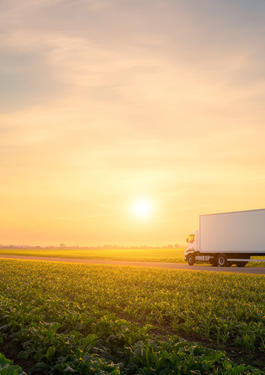 Refrigerated truck transporting produce across verdant farmland 