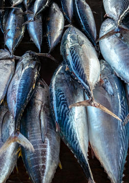 Seafood cover image