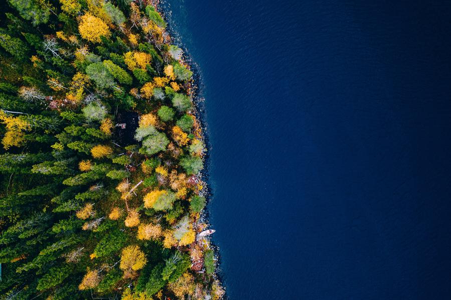 Forest & Sea