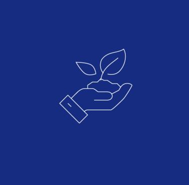 Driving Environmental Excellence